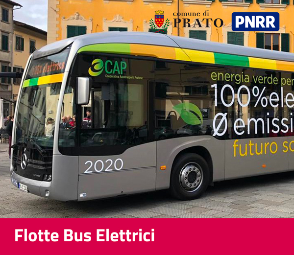 Flotte Bus Elettrici