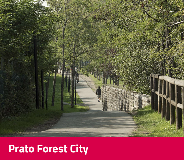 Prato Forest City