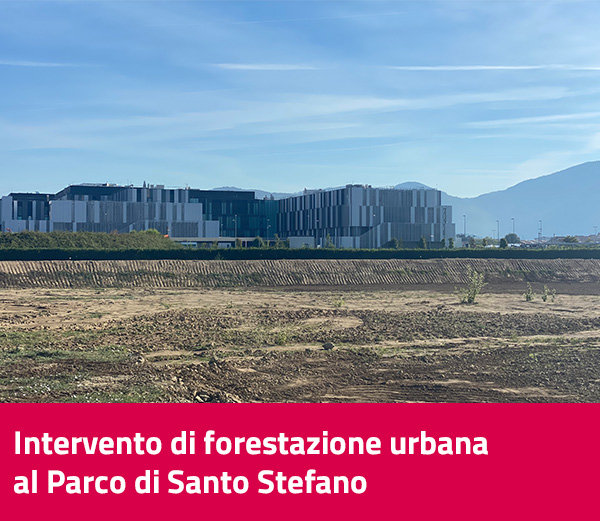 Intervento di forestazione urbana al Parco di Santo Stefano