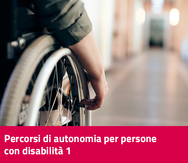 disabilita1